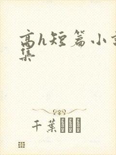 高h短篇小说合集