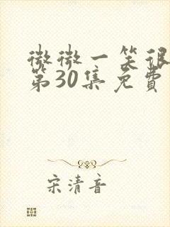 微微一笑很倾城第30集免费封面