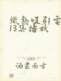 炽热吸引电视剧13集播放