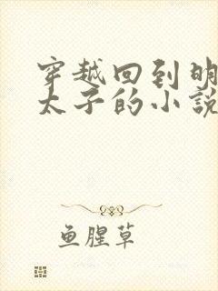 穿越回到明朝当太子的小说