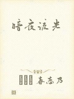 暗夜流光封面