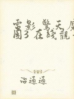 电影 惊天魔盗团3 在线观看