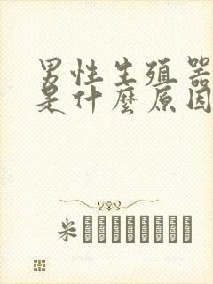 男性生殖器官痛是什么原因封面