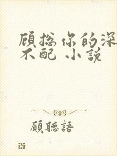 顾总你的深情我不配 小说