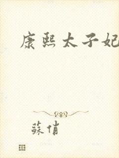 康熙太子妃静秋封面