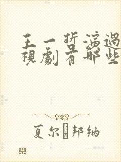 王一哲演过的电视剧有哪些封面