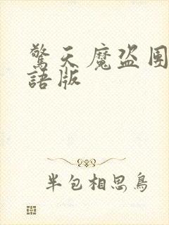 惊天魔盗团 国语版