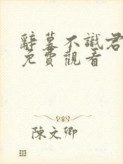 辞暮不识君短剧免费观看