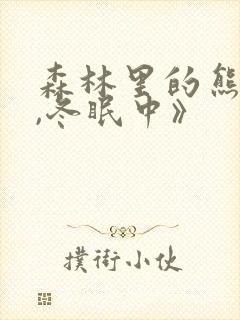 森林里的熊先生,冬眠中》封面