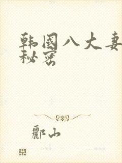 韩国八大妻子的秘密