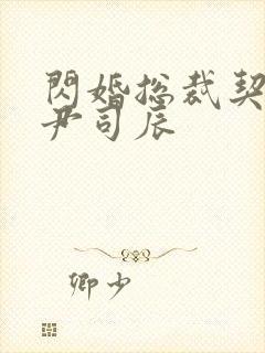 闪婚总裁契约妻尹司辰