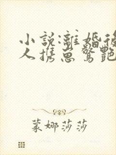 小说:离婚后夫人携崽惊艳全球