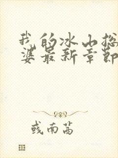 我的冰山总裁老婆最新章节阅读