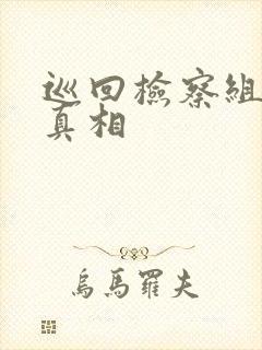 巡回检察组最后真相