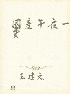 国产午夜一级免费封面