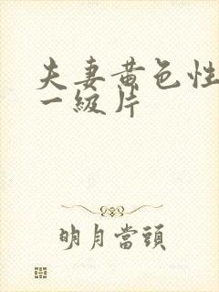 夫妻黄色性生活一级片