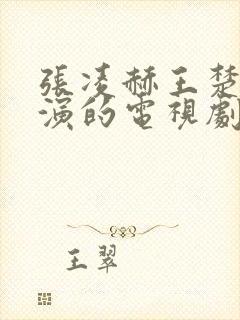 张凌赫王楚然主演的电视剧叫什么封面