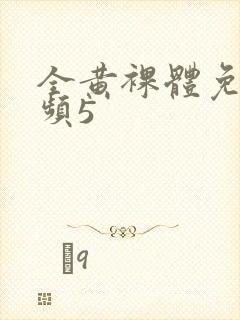 全黄裸体免费视频5