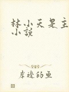 林小天是主角的小说