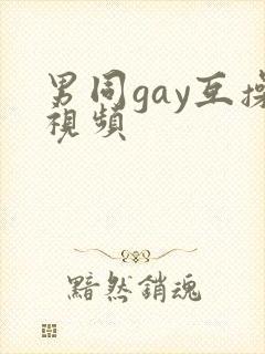 男同gay互操视频