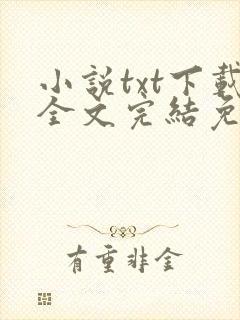 小说txt下载全文完结免费下载
