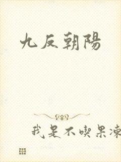 九反朝阳封面