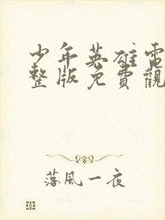 少年英雄电影完整版免费观看