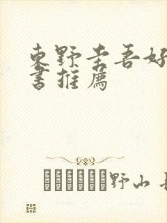 东野圭吾好看的书推荐