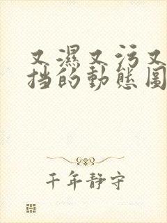 又湿又污又无遮挡的动态图封面