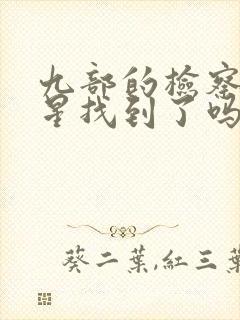 九部的检察官星星找到了吗