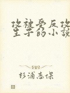 攻被受反攻最后生子的小说