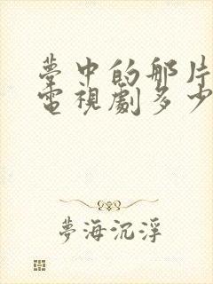 梦中的那片海 电视剧多少集