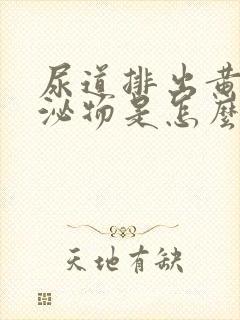 尿道排出黄色分泌物是怎么回事