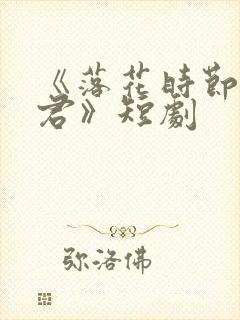 《落花时节又逢君》短剧