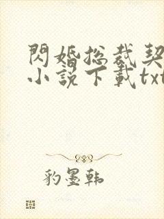 闪婚总裁契约妻小说下载txt