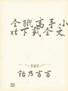 全职高手小说txt下载全文下载