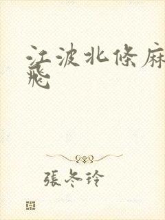 江波北条麻妃双飞