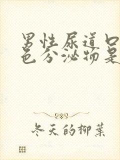 男性尿道口有黄色分泌物是怎么回事