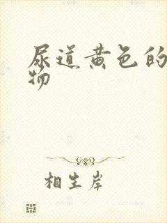 尿道黄色的分泌物封面