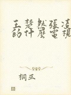 王楚然张凌赫演的什么电视剧封面