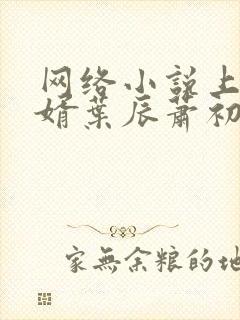 网络小说上门龙婿叶辰萧初然封面