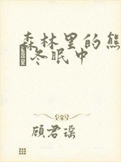 森林里的熊先生·冬眠中