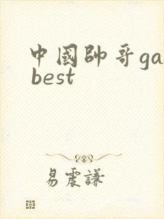 中国帅哥gay best