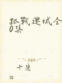 孤战迷城全集40集