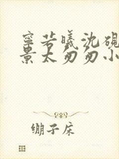 宁若曦沈砚舟盛景太匆匆小说阅读