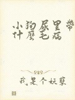 小狗尿里带血是什么毛病