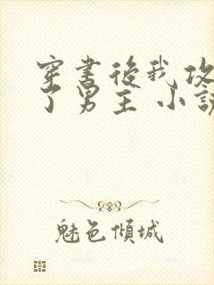 穿书后我攻略错了男主 小说封面