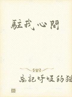 驻我心间