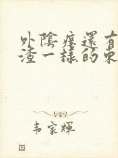 外阴痒还有豆腐渣一样的东西