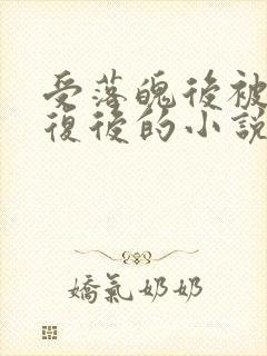 受落魄后被攻报复后的小说